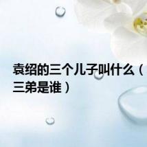 袁绍的三个儿子叫什么(袁绍的三弟是谁)