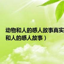 动物和人的感人故事真实(动物和人的感人故事)