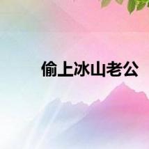 偷上冰山老公