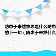 防患于未然意思是什么防患于未然的下一句(防患于未然什么意思)