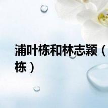 浦叶栋和林志颖（浦叶栋）