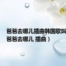 爸爸去哪儿插曲韩国歌叫什么(爸爸去哪儿 插曲)