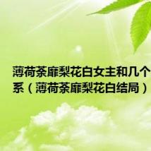 薄荷荼靡梨花白女主和几个人有关系(薄荷荼靡梨花白结局)