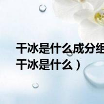 干冰是什么成分组成（干冰是什么）