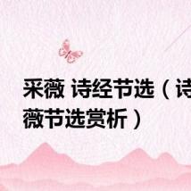 采薇 诗经节选（诗经采薇节选赏析）