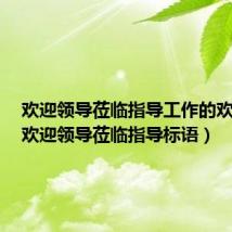 欢迎领导莅临指导工作的欢迎词(欢迎领导莅临指导标语)