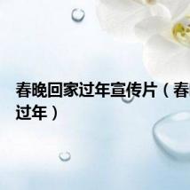 春晚回家过年宣传片（春晚回家过年）