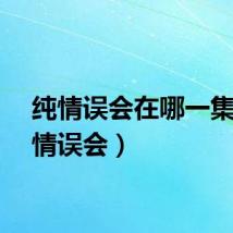 纯情误会在哪一集（纯情误会）