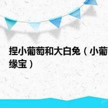 捏小葡萄和大白兔（小葡萄和小缘宝）