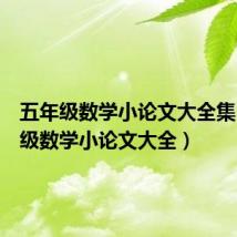 五年级数学小论文大全集(五年级数学小论文大全)