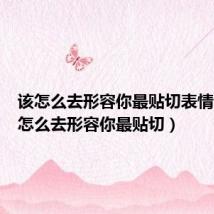 该怎么去形容你最贴切表情包(该怎么去形容你最贴切)