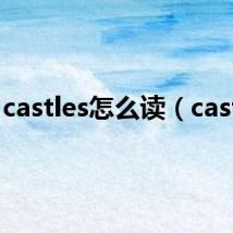 castles怎么读(castle)