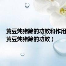 黄豆炖猪蹄的功效和作用禁忌(黄豆炖猪蹄的功效)