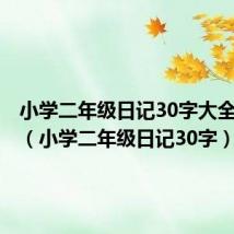 小学二年级日记30字大全100篇(小学二年级日记30字)