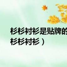 杉杉衬衫是贴牌的吗（杉杉衬衫）