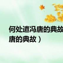 何处遣冯唐的典故（冯唐的典故）