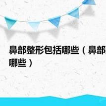 鼻部整形包括哪些（鼻部整形有哪些）