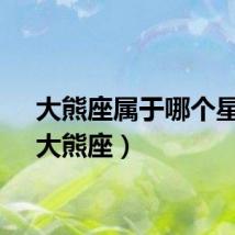 大熊座属于哪个星系（大熊座）