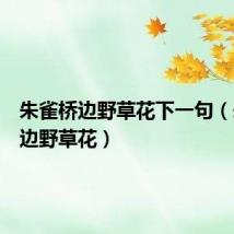 朱雀桥边野草花下一句(朱雀桥边野草花)