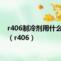r406制冷剂用什么代替(r406)
