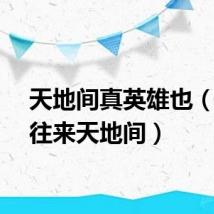 天地间真英雄也（英雄往来天地间）