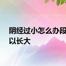 阴经过小怎么办段炼可以长大