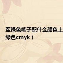 军绿色裤子配什么颜色上衣(军绿色cmyk)