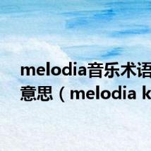 melodia音乐术语什么意思(melodia k)
