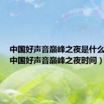 中国好声音巅峰之夜是什么时候(中国好声音巅峰之夜时间)