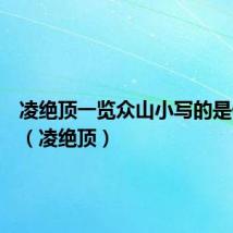 凌绝顶一览众山小写的是什么山(凌绝顶)