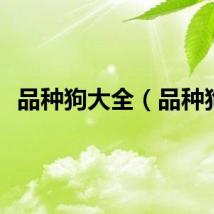 品种狗大全（品种狗）