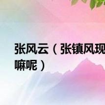 张风云（张镇风现在干嘛呢）