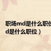 职场md是什么职位(md是什么职位)