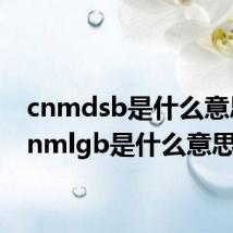 cnmdsb是什么意思(cnmlgb是什么意思)