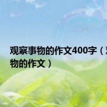 观察事物的作文400字(观察事物的作文)
