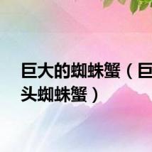 巨大的蜘蛛蟹（巨型尖头蜘蛛蟹）