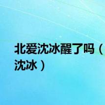 北爱沈冰醒了吗（北爱沈冰）