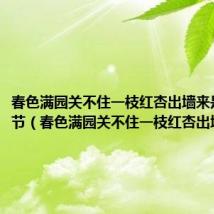 春色满园关不住一枝红杏出墙来是什么季节(春色满园关不住一枝红杏出墙来)