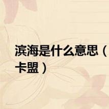 滨海是什么意思（滨海卡盟）