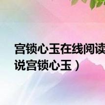 宫锁心玉在线阅读（小说宫锁心玉）