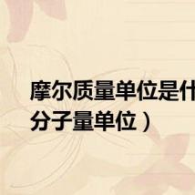 摩尔质量单位是什么（分子量单位）
