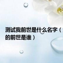 测试我前世是什么名字(测试我的前世是谁)