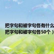 把字句和被字句各有什么特点(把字句和被字句各50个)