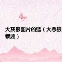 大灰狼图片凶猛(大恶狼瞄上乖乖牌)