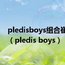 pledisboys组合崔胜澈(pledis boys)