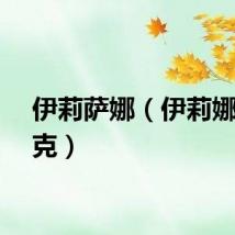 伊莉萨娜（伊莉娜莎伊克）