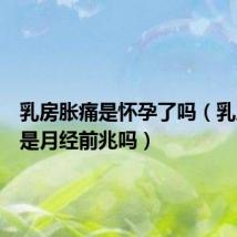 乳房胀痛是怀孕了吗(乳房胀痛是月经前兆吗)