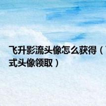飞升影流头像怎么获得(飞升模式头像领取)