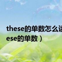 these的单数怎么读(these的单数)