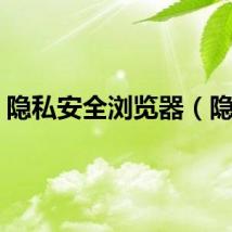 隐私安全浏览器（隐私）